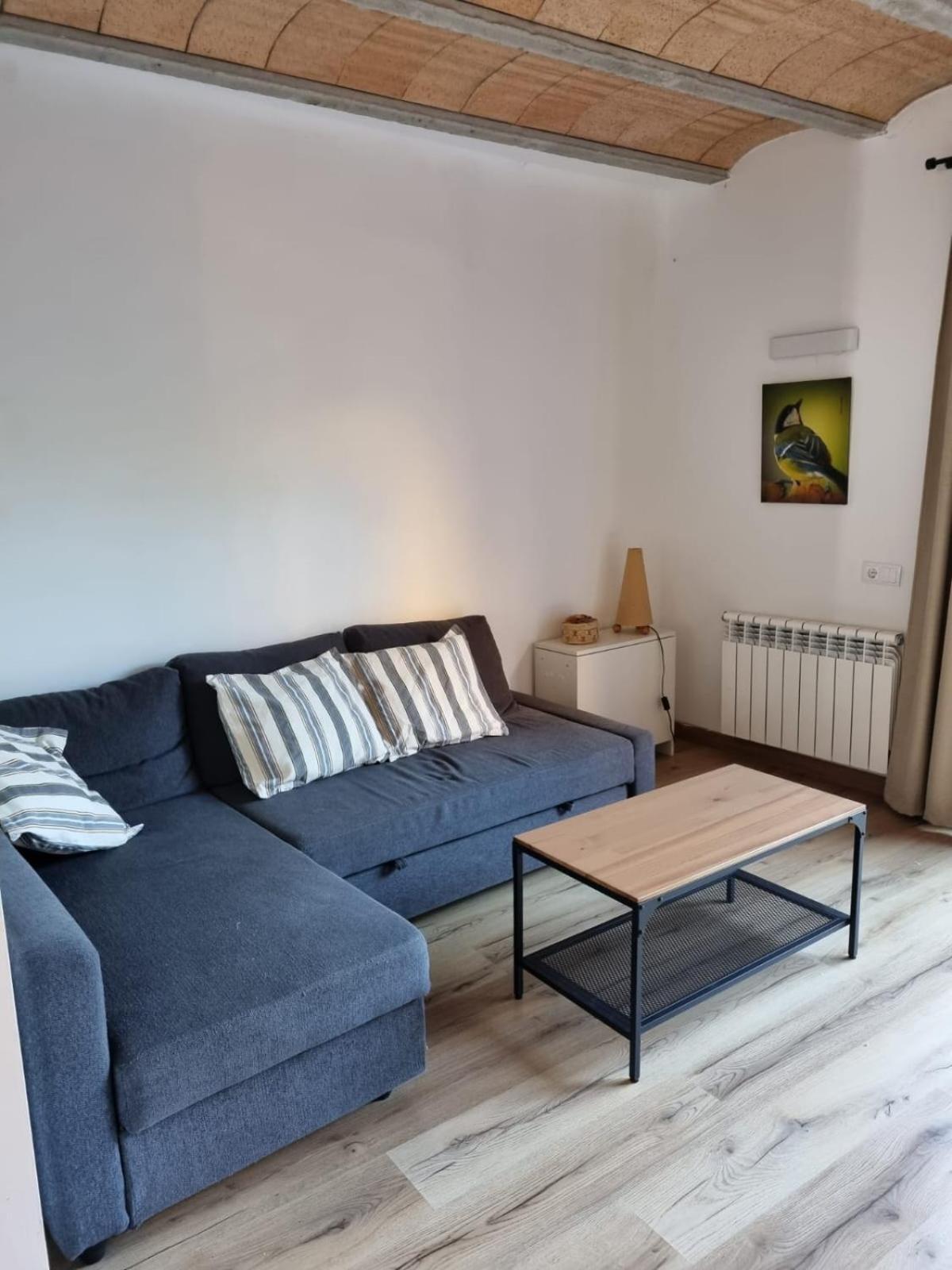 Apartmán El Niu Dels Ocells Sant Joan de les Abadesses Exteriér fotografie